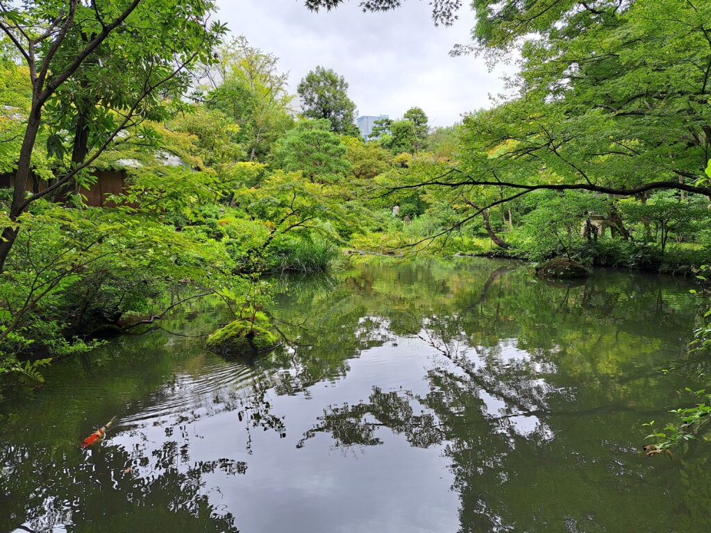 根津美術館の庭園5（「夏と秋の美学展」根津美術館）